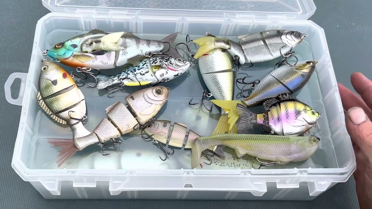 Keeping those expensive swimbaits safe with Lurelock Utility box's