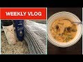WEEKLY VLOG | | CLEANING | SHOPPING | GLUTEN FREE COOKING | THE ORGANIZED MOM