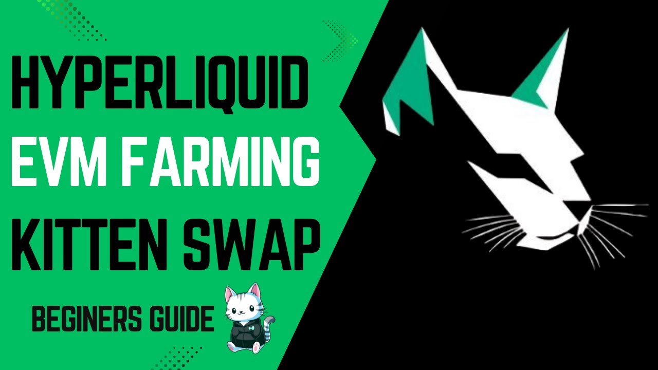 Exploring Hyperliquid EVM Exchanges: A Guide to Kitten Swap Liquidity  Provision - YouTube