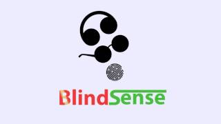 BlindSense Logo PROPOSAL