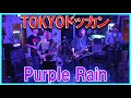 TOKYOドッカン - Purple Rain - (2025年10月19日Daydream Kichijojiライブ)