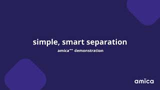 amica one  - money and property estimate tool demonstration