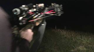 Tenpoint FX4 100yd Shot HHA Optimizer-OmniBrite Nock