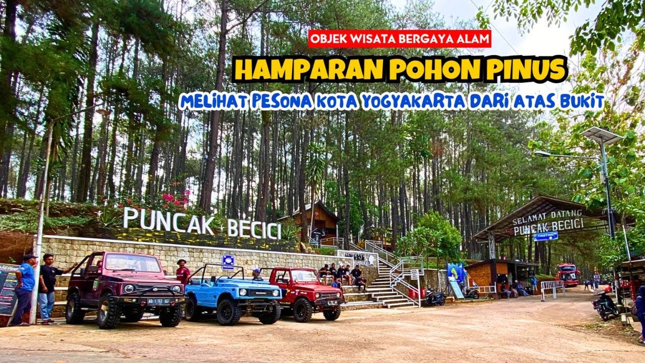 PUNCAK PINUS BECICI ‼️ OBJEK WISATA JOGJA BERGAYA ALAM DI KABUPATEN BANTUL