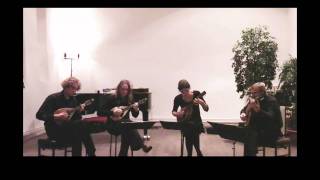 Toccata Scarlattiana By Victor Kioulaphides Performed By The Zwols Mandolin Quartet.