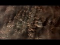 Mark IJzerman & Sébastien Robert - Holobiosis