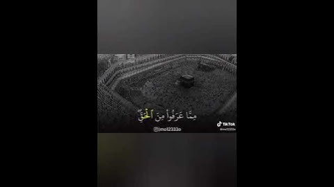 سورة المائدة من القرآن الكريم