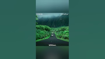 ألا بذكر الله تطمئن القلوب 🍃 طارق محمد حالات واتس اب دينية قصيرة مؤثرة قرآن كريم تلاوة خاشعة انستا