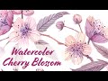 Watercolour Cherry Blossoms | Paint Flowers with me