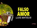 Falso Amor(LETRA)- Luis Mateus y La Nueva Generación | Vallenatos Románticos