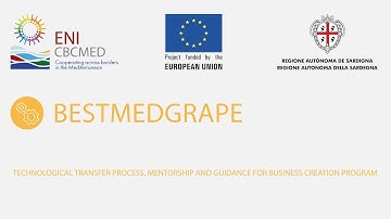 BESTMEDGRAPE Program Call for Applications