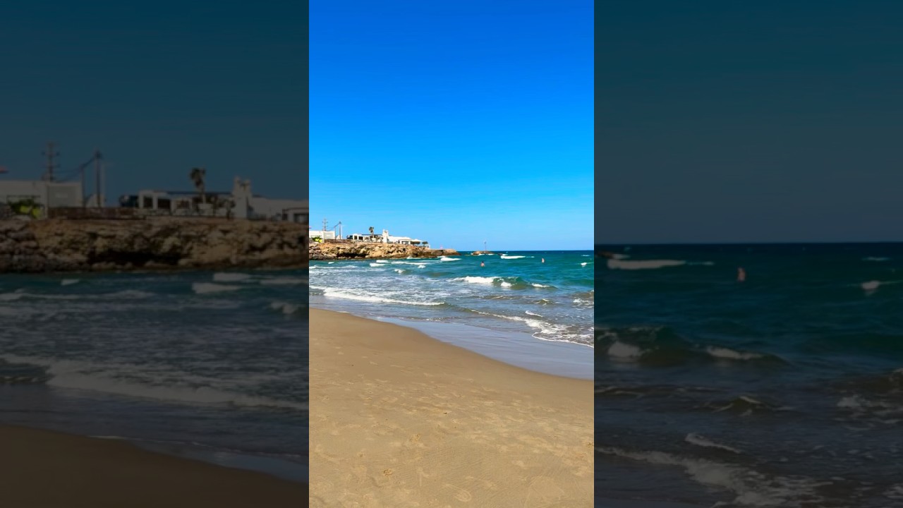 Короткий выпуск с КАТО ГУВЕС