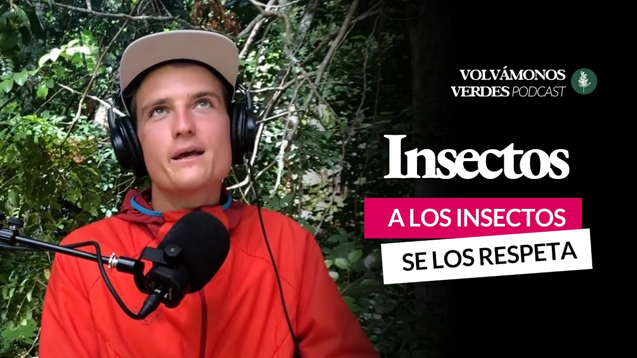 A los insectos se los respeta | Cristóbal Sprätz | 83