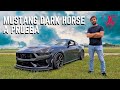 Ford mustang dark horse 2024 resea   el corcel americano con espritu oscuro   jaime gabaldoni