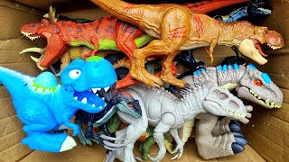 Hunting T-Rex, Distortus Rex, Spinosaurus, Megalodon, Mosasaurus And More Dinosaur Toy