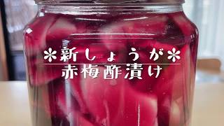 ✽新しょうが赤梅酢漬け✽