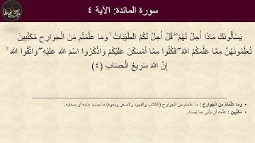 الشيخ أبوالعينين شعيشع- سورة المائدة الآيات 1-11- بالمعاني للاستماع والتدبر