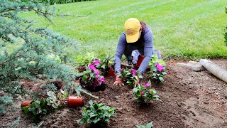 Simple Summer Planting with Big Impact | Gardening with Creekside