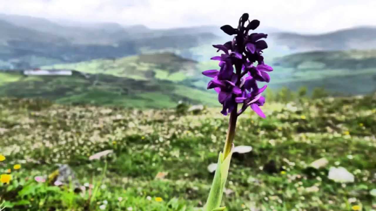 Mi Valle De Iguña en fotografias