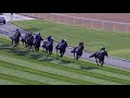 Subjectivist (GB) wins the G2 3200m turf race I Dubai World Cup I Race 3 I Dubai Gold Cup