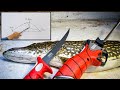 The only northern pike fillet tutorial youll ever need