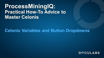 Celonis Variables and Button Dropdowns - A ProcessMiningIQ Tutorial