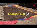 روث الحيوانات يغطي حاجة 4 ألاف عائلة من غاز الميثان #بالغوطة