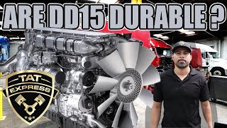 Are DD15s Durable