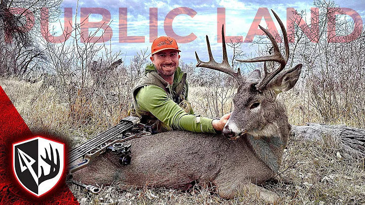 Rattled In A Public Land Buck!  Can't Believe That Worked!