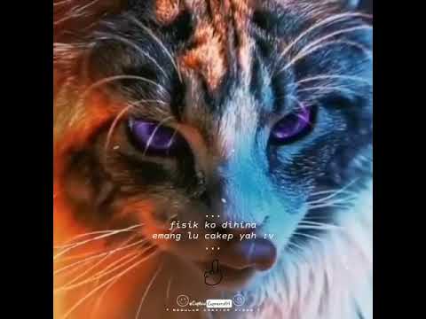 Quotes Story Whatsapp Keren - YouTube