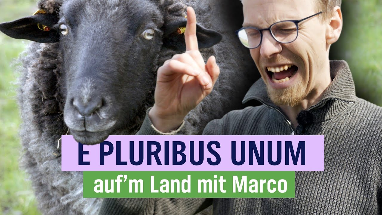 Vom Schaf zur Kleidung…ein interessanter Prozess von der Wolle zum Produkt | Folge 20 | NDR