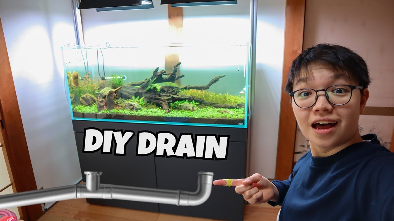 DIY Aquarium Drainage for my PLANTED AQUASCAPE YouTube