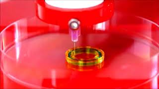Bioprinted Concentric Circles