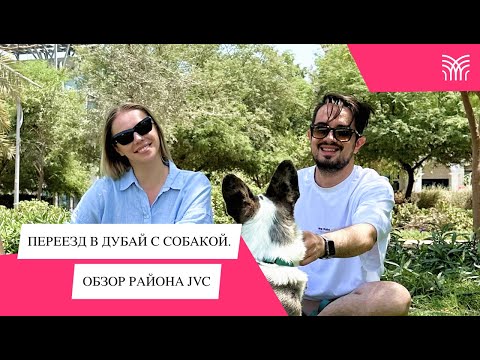 Переезд с собакой в Дубай. Что для этого нужно? Обзор района JVC