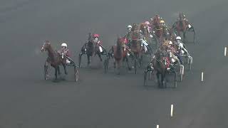 Vidéo de la course PMU PRIX DE BELGIQUE - AMERIQUE RACES PMU Q6