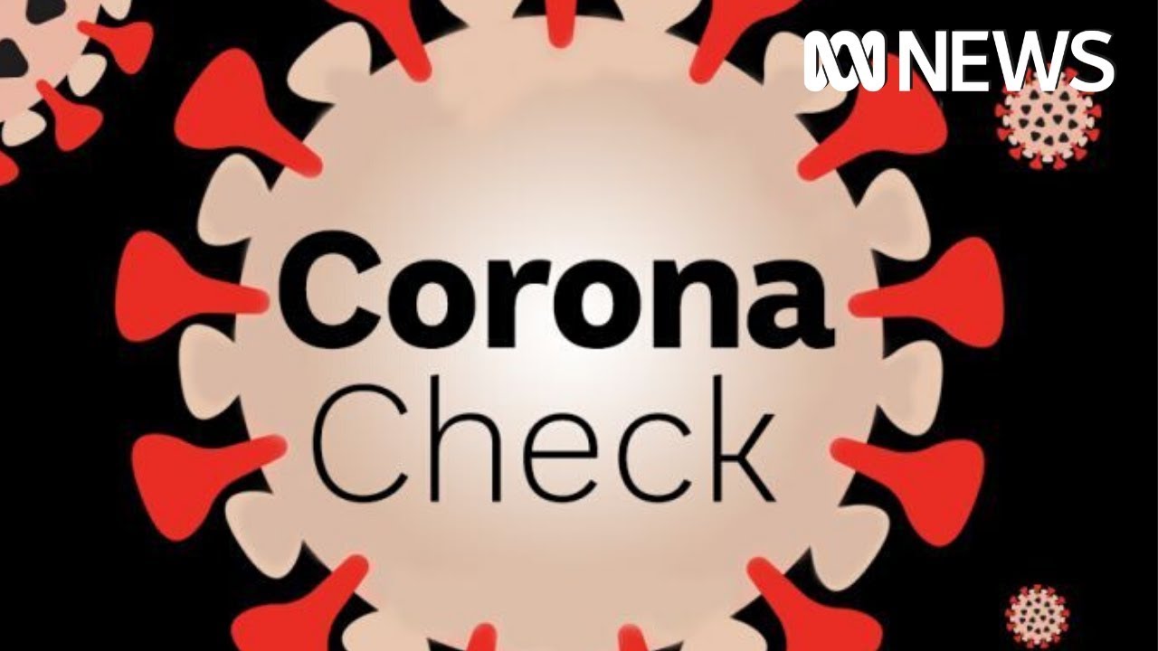 Coronavirus misinformation, debunked: Ibuprofen, furry friends and a COVID-19 vaccine | ABC News