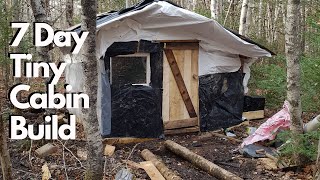 Building A TINY CABIN In The Woods In Less Then 7 Days From Recycled Materials