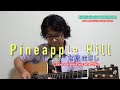 Pineapple Hill/さだまさし Covered by RyosukeMiho