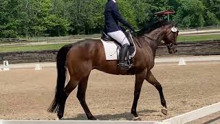 Training level dressage test