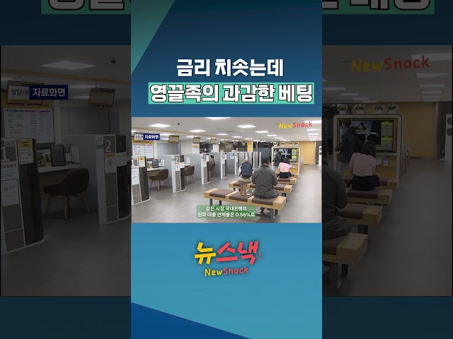 무차별 빚투가 불러올 '참혹한 시련' / 뉴스낵
