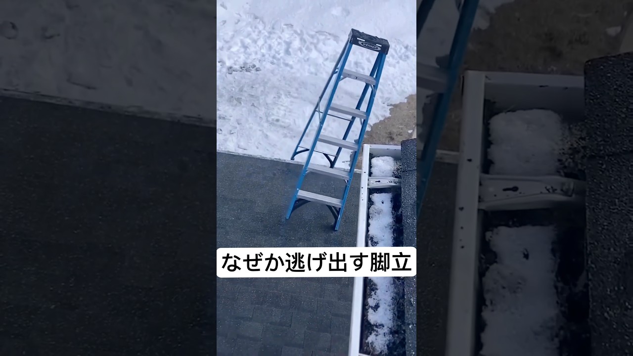 【一部始終】イタズラが好きな脚立 #shorts