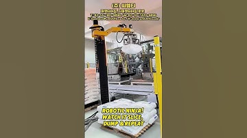 CMT Robotic Ninja, Watch It Slice Dump & Repeat 😎 #depalletizing #depalletizer #개포기 #개포시스템 #개포로봇