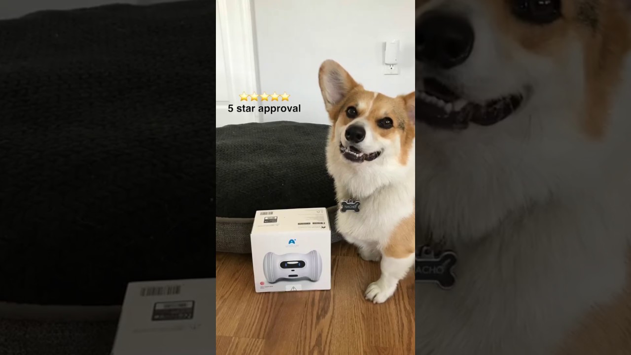 VARRAM Unboxing & Introduction