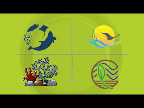 Life Science - Ecosystems: Interactions, Energy, and Dynamics - Grade
