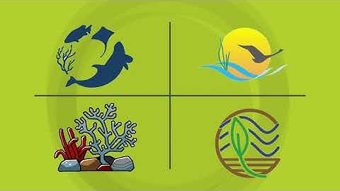 Life Science - Ecosystems: Interactions, Energy, and Dynamics - Grade