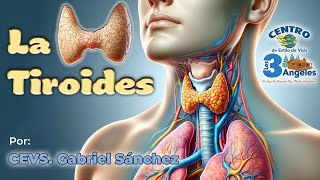 Clase de Salud | Cevs. Gabriel Sanchez | Shepherd, TX | 05/08/2024