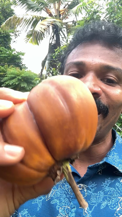 මම ආසම බටු