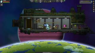 Starbound bug