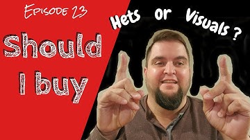 Should I buy visual or het recessive ball pythons?