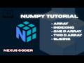 NumPy Slicing and Indexing Tutorial: 1D &amp; 2D Arrays Explained